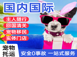 赛乌素机场托运国际宠物托运 【国